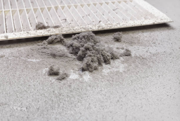 Best Local Air Duct Cleaning Services  in State Line, PA